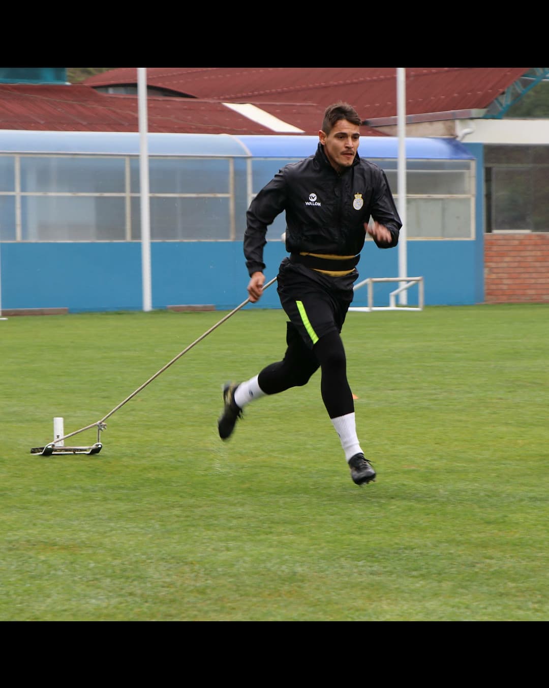 El defensa mexicano de origen griego Lampros Kontogianni también se incorpora a los Tiburones.