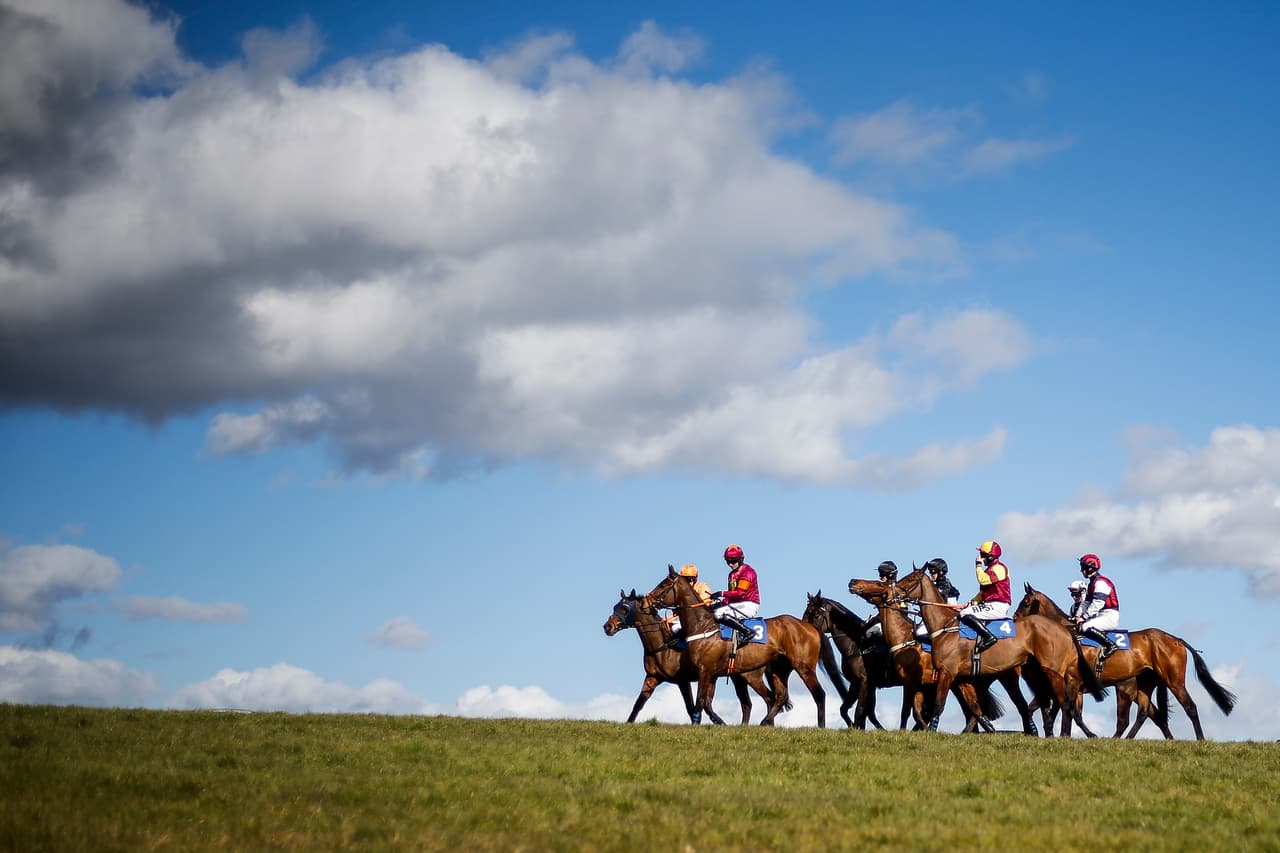 En el rigor de las competencias muchas veces aparecen postales deportivas, que como en este caso en una competencia de equitación en Wincanton (Inglaterra) ofrecen paisajes e imágenes espectaculares.