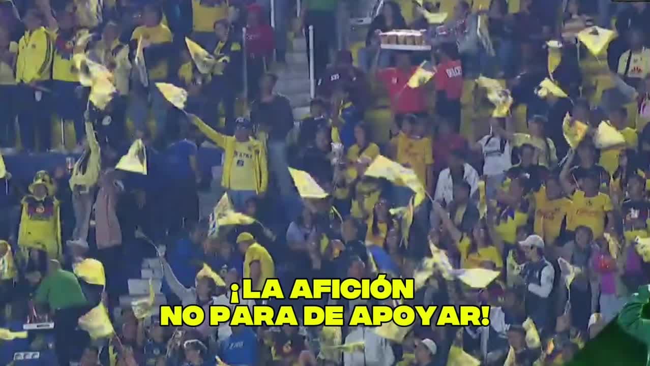 ¡Hay nerviosismo en la afición azulcrema!