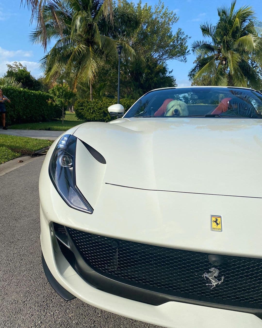 La celebridad multipremiada, se acaba de hacer de un ostentoso Ferrari.