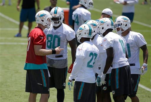 Las mejores tomas de las actividades organizadas de los Miami Dolphins rumbo a la temporada 2015 (AP-NFL).