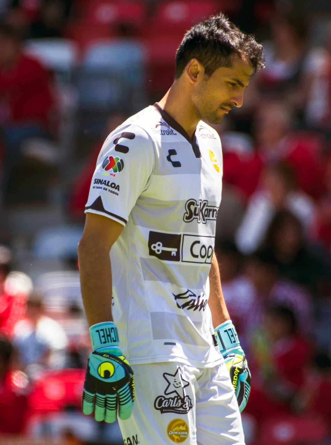 La apuesta fue un desastre, Dorados consiguió en el Apertura 2015 solamente 15 puntos, fue el último de la tabla general, 3 victorias, 6 empates y 8 derrotas.