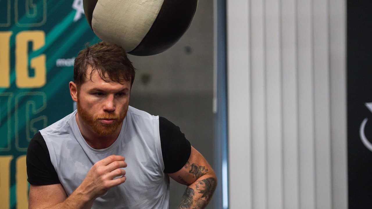 'Canelo' Álvarez puede sumar más de 160 millones de dólares por sus tres peleas en 2022.