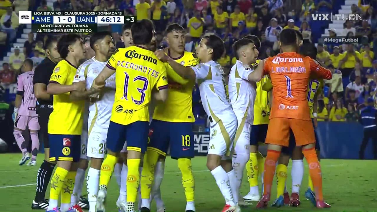 ¡Vuelan los golpes! Se arma la bronca en el América vs Tigres