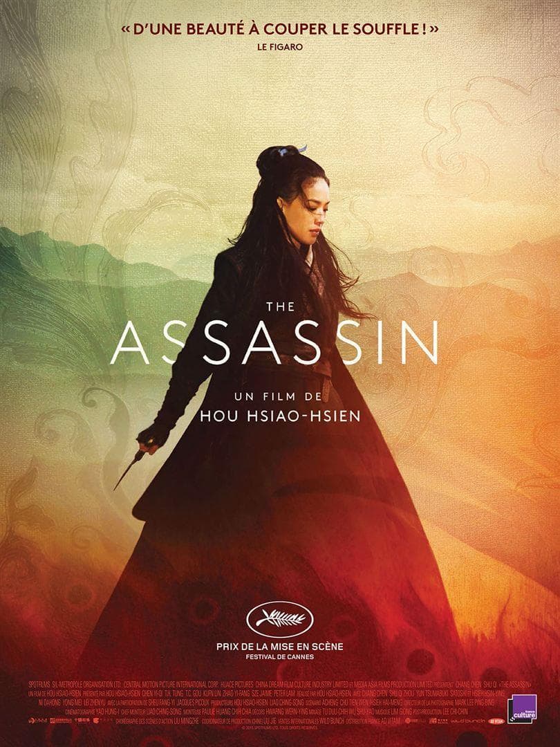 The Assasin (2015)
<br>
