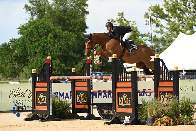 Los observadores olímpicos y los amantes de los animales de todo el mundo entraron en shock.