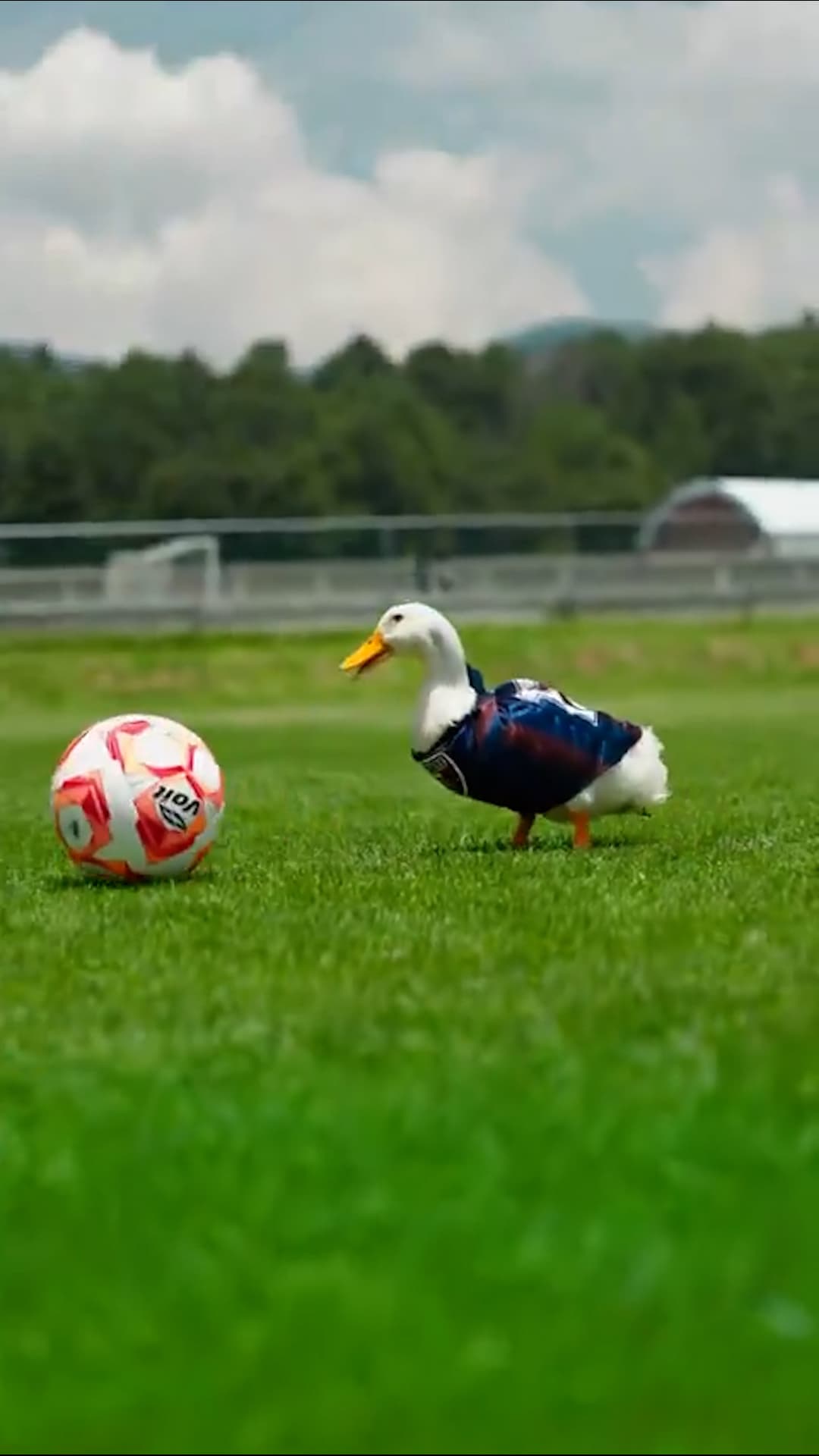 Atlante ficha como refuerzo al Pato Merlín para la Liga MX Apertura 2026
