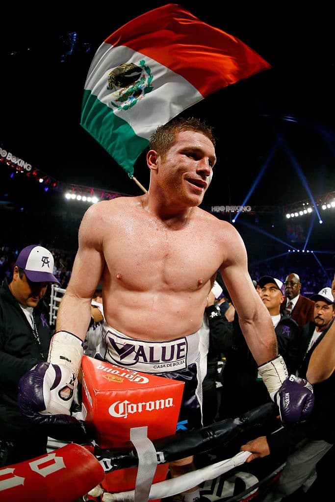 El año 2015 fue la consagración de Saul 'Canelo' Alvarez como uno de los mejores boxeadores de la actualidad.