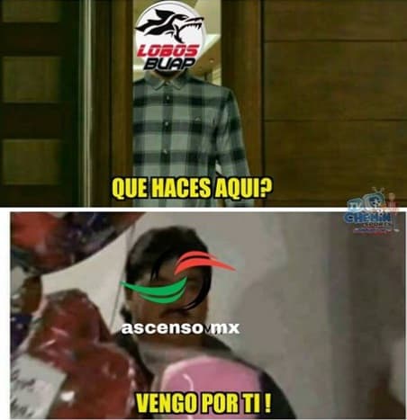 Memes fecha 17 Clausura 2018 Liga MX