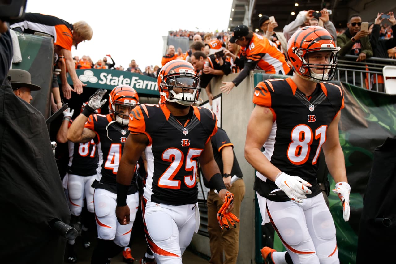Los Bengals perdieron a su QB Andy Dalton y con ello el partido vs. Steelers 33-20. Checa las mejores tomas del duelo con el Pittsburgh está en la lucha por un boleto a la ronda de comodines.