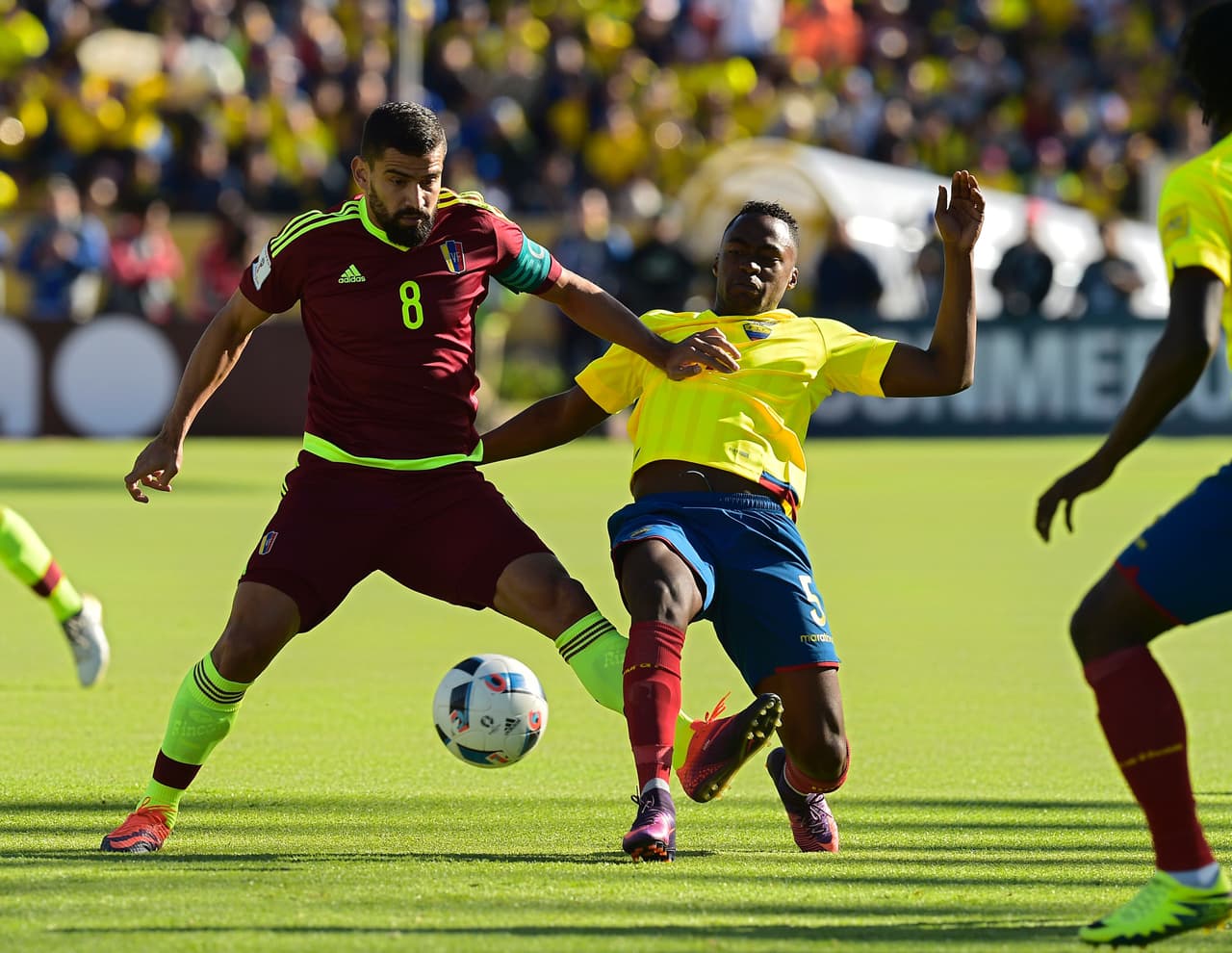 Ecuador's Alex Renato Ibarra (R) and Venezuela's midfielder Tomas Rincon vie for the ball during their 2018 FIFA World Cup qualifier football match in Quito, on November 15, 2016. / AFP / RODRIGO BUENDIA (Photo credit should read RODRIGO BUENDIA/AFP/Getty Images)