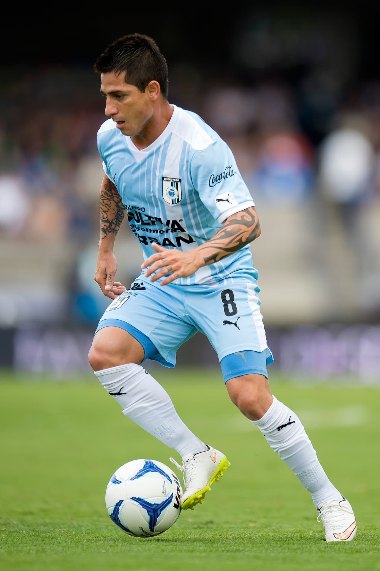 Para eso Ricardo La Volpe incorporó a Jaguares a siete nuevos jugadores entre los que destacan, Danilinho, Juan Pablo Vigón y al argentino Alexis Canelos, quienes con su experiencia serán los encargados de poner a Chiapas entre los mejores ocho lugares de la Liga MX.