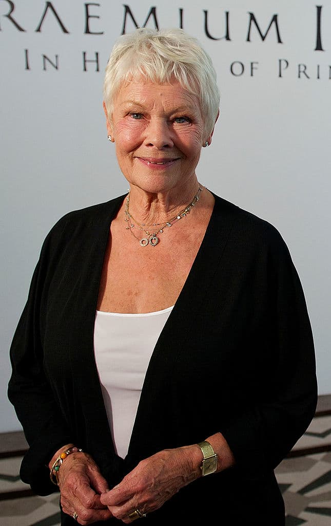 Un grupo de ancianos ingleses deciden disfrutar de su jubilación en Bangalore, una exótica población de la India, pero las diferencias culturales pronto se pondrán de manifiesto creándoles todo tipo de problemas.
<br>