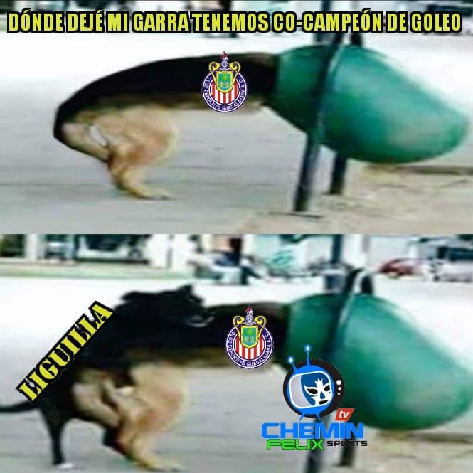 La Liguilla está en proceso pero los memes todavía recuerdan con cariño a rojiblancos y celestes.