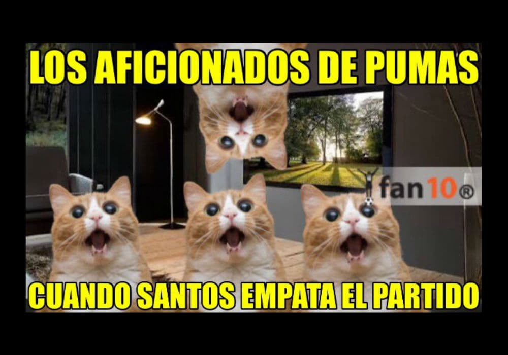 Memes liga mx jornada 7 Clausura 2016