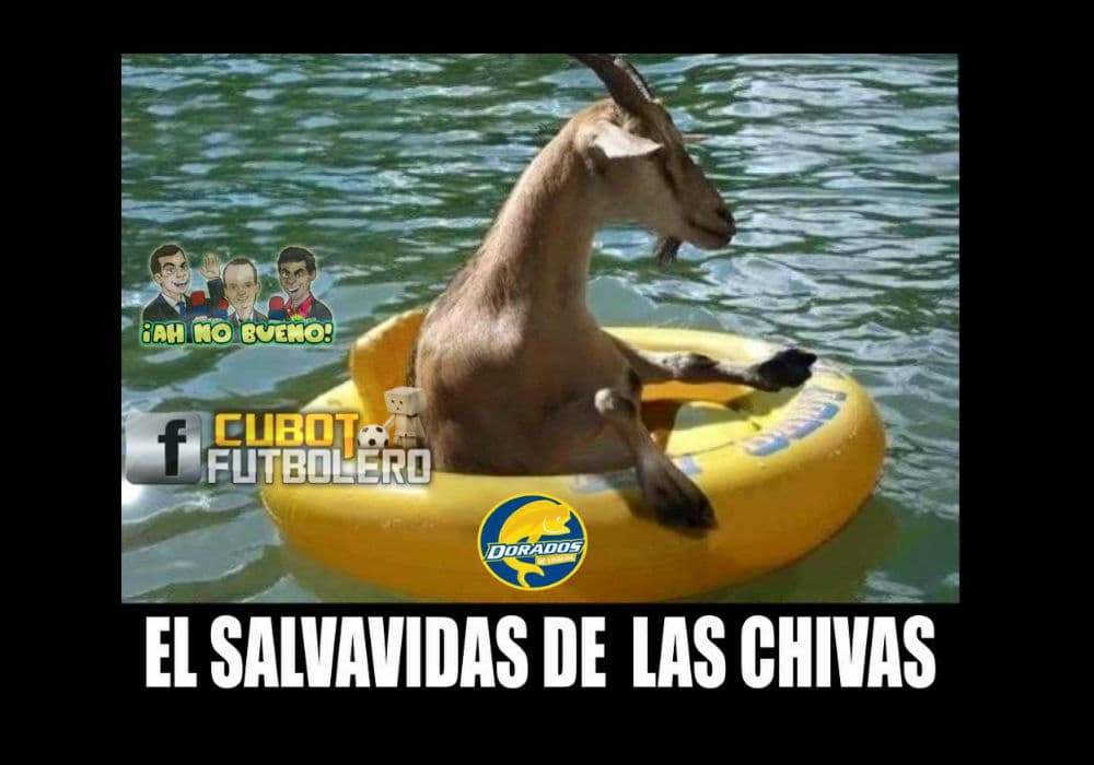 Memes liga mx jornada 7 Clausura 2016