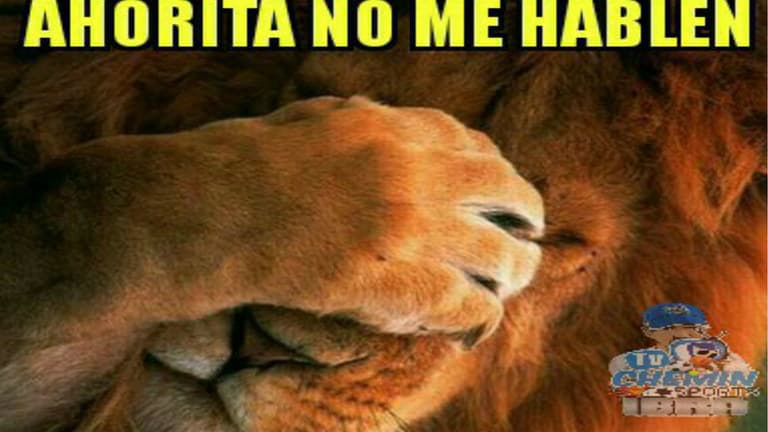 Te presentamos los mejores memes que nos arrojó la jornada sabatina en los Cuartos de Final de la Liguilla en el Apertura 2017