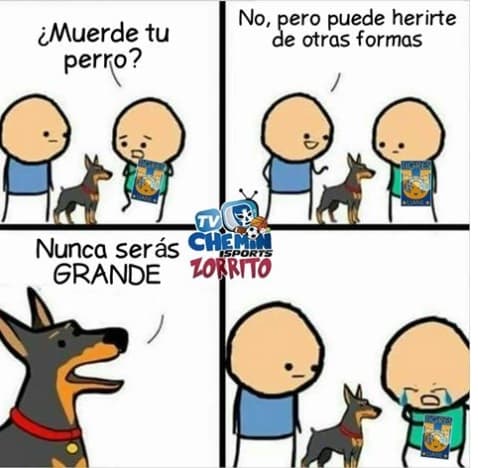 Puebla consiguió un gran resultado contra el actual campeón de la Liga MX y las redes sociales reaccionaron.