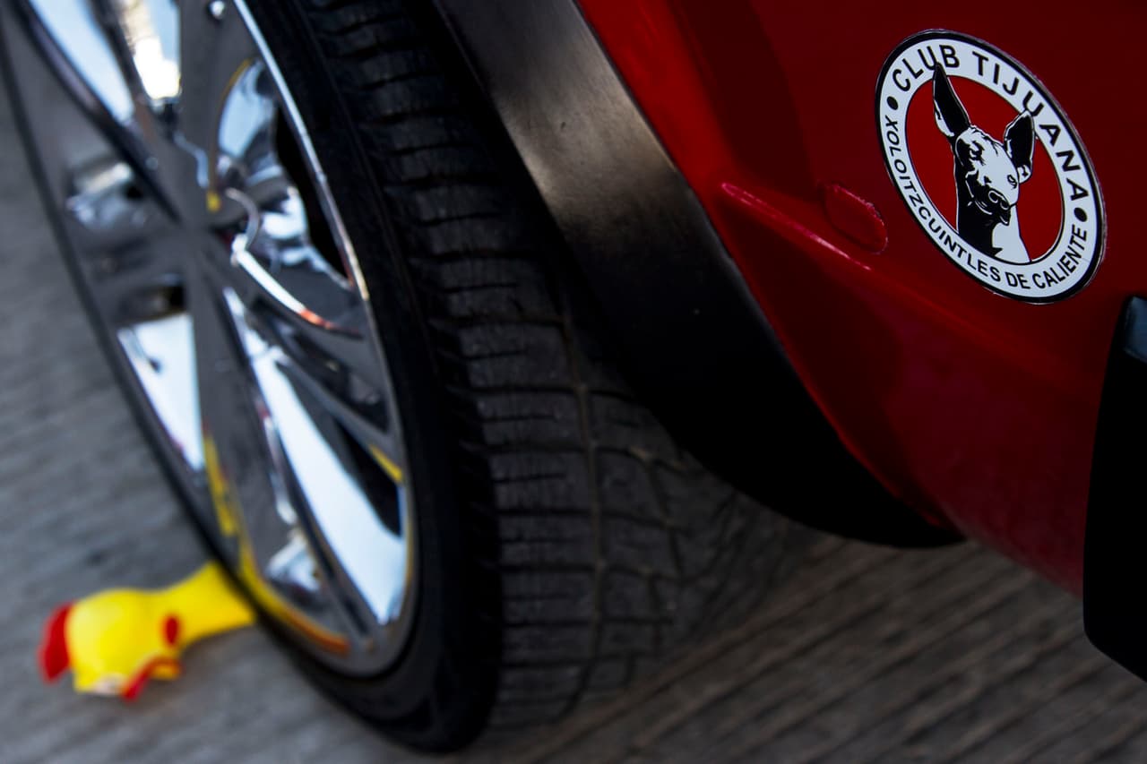 A pesar de la alegría que se percibía, los aficionados de Xolos mostraban que estaban dispuestos para ver cómo su equipo 'aplastaba' a las Águilas.