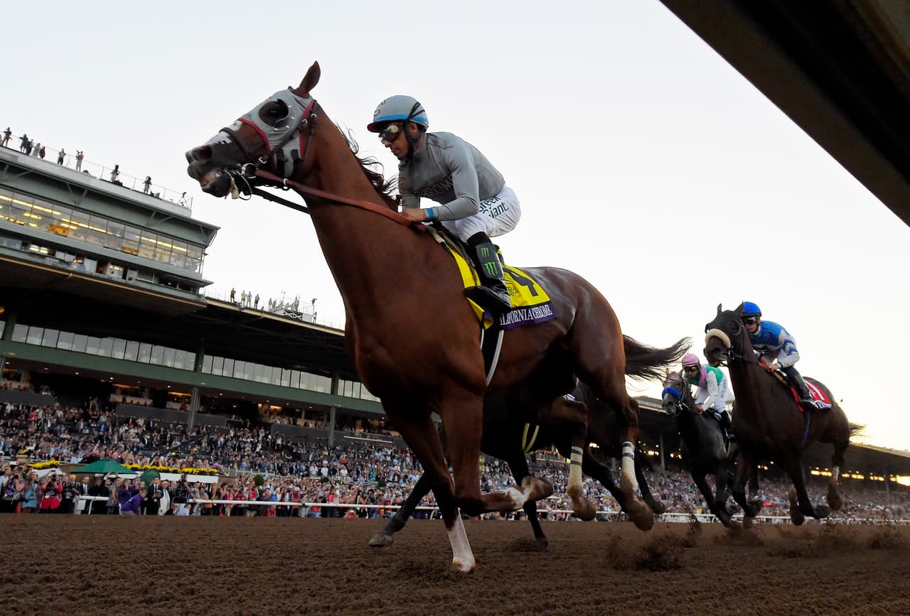 Buscó la triple corona dos veces sin tener éxito, pues una de las tres carreras se le resistía cada vez, hasta que la vida lo llevó a montar a American Pharoah, el caballo que llevaba el alma de faraón, pero que en su registro su nombre estaba mal escrito, tal vez por ello se impuso para obtener su propia fama.