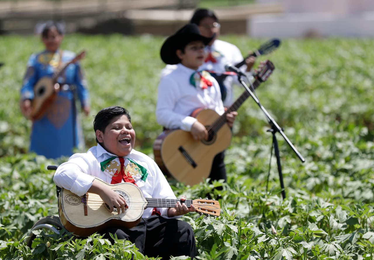 Las letras conservan su inspiración original: el amor al país natal, la naturaleza y las mujeres.
