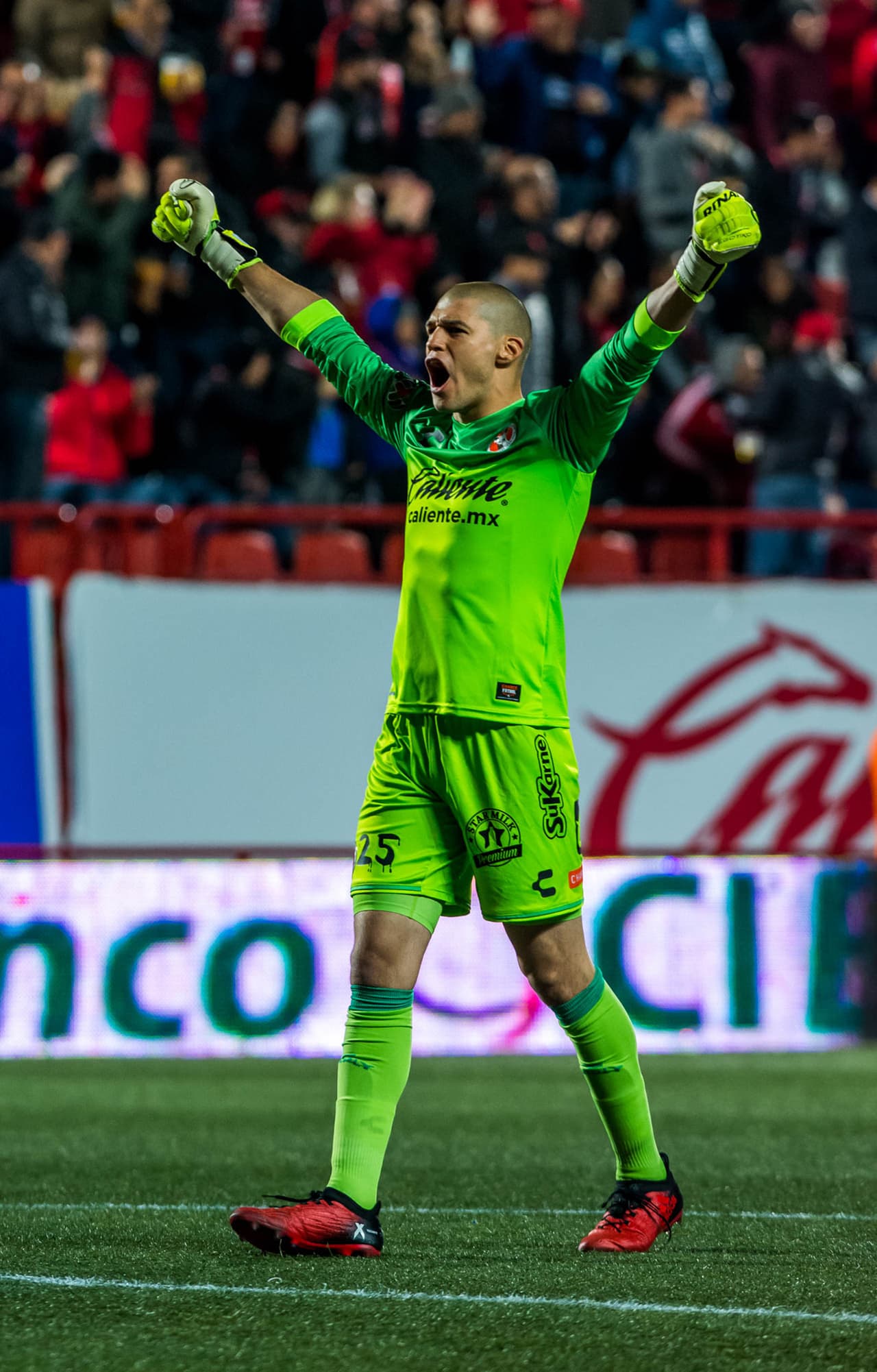 Action photo during the match Tijuana vs Puebla, Corresponding to Day 4 of the Closing Tournament 2018 of Liga BBVA Bancomer MX, at Caliente Stadium. Foto de accion durante el partido Tijuana vs Puebla, Correspondiente a la Jornada 4 del Torneo Clausura 2018 de la Liga BBVA Bancomer MX, en el Estadio Caliente, en la foto: Gibran Lajud de Tijuana 26/01/2018/MEXSPORT/Emiliano.
