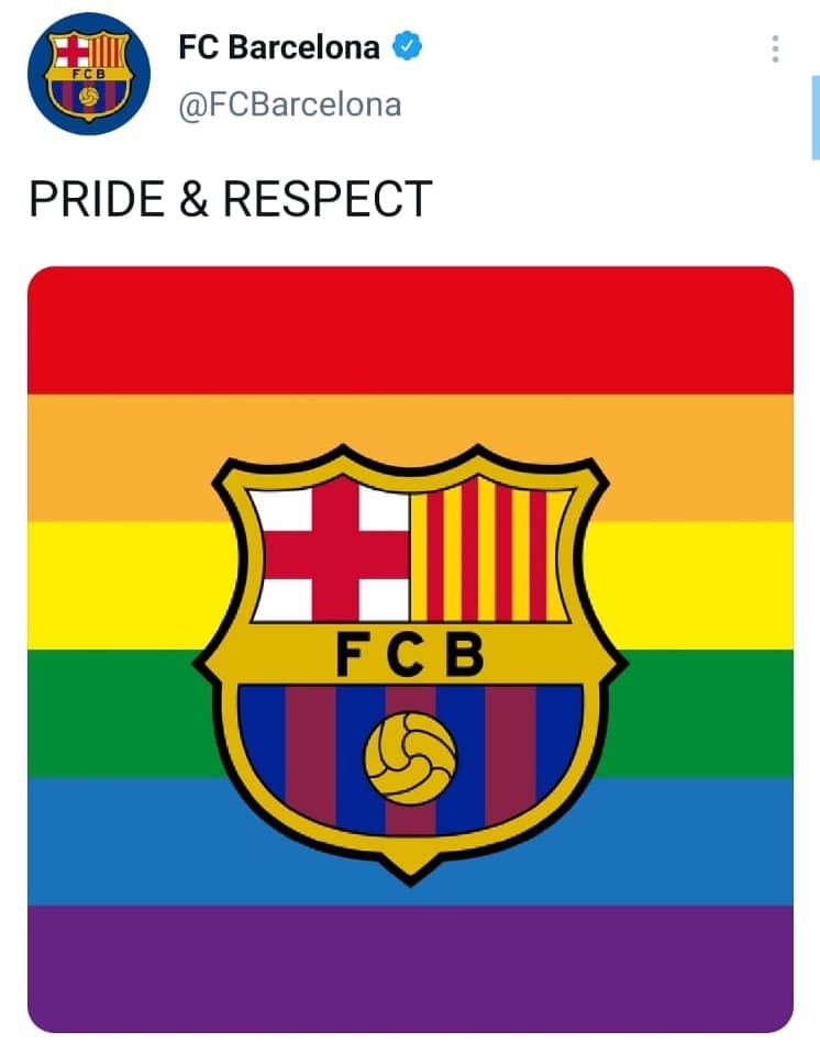 Esto era con el fin de apoyar a la comunidad LGTB húngara, pues el 15 de junio aprobaron una ley donde se prohíbe la promoción de este tipo de contenido a menores de 18 años.