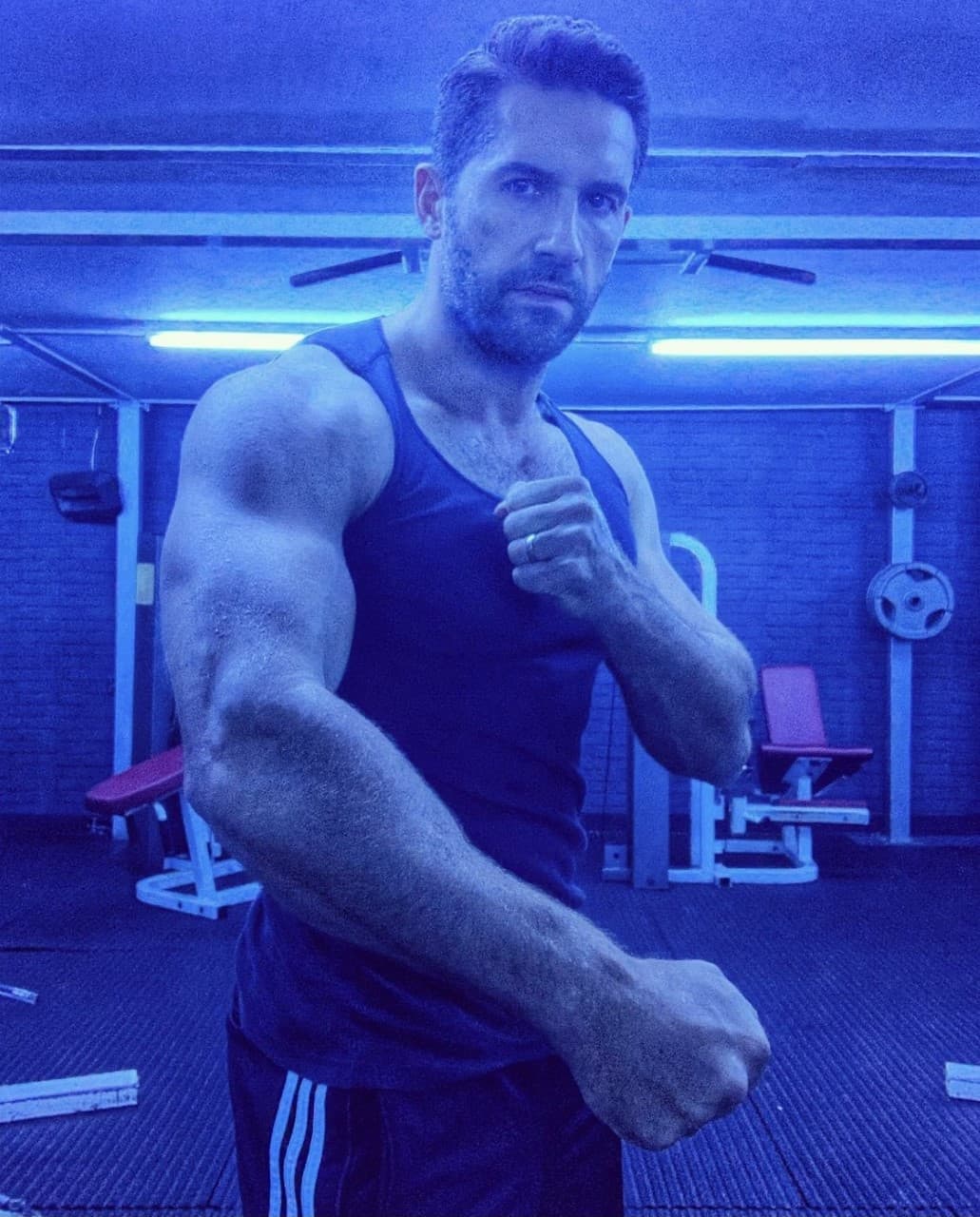 Ip Man 4 (2019) 
<br>