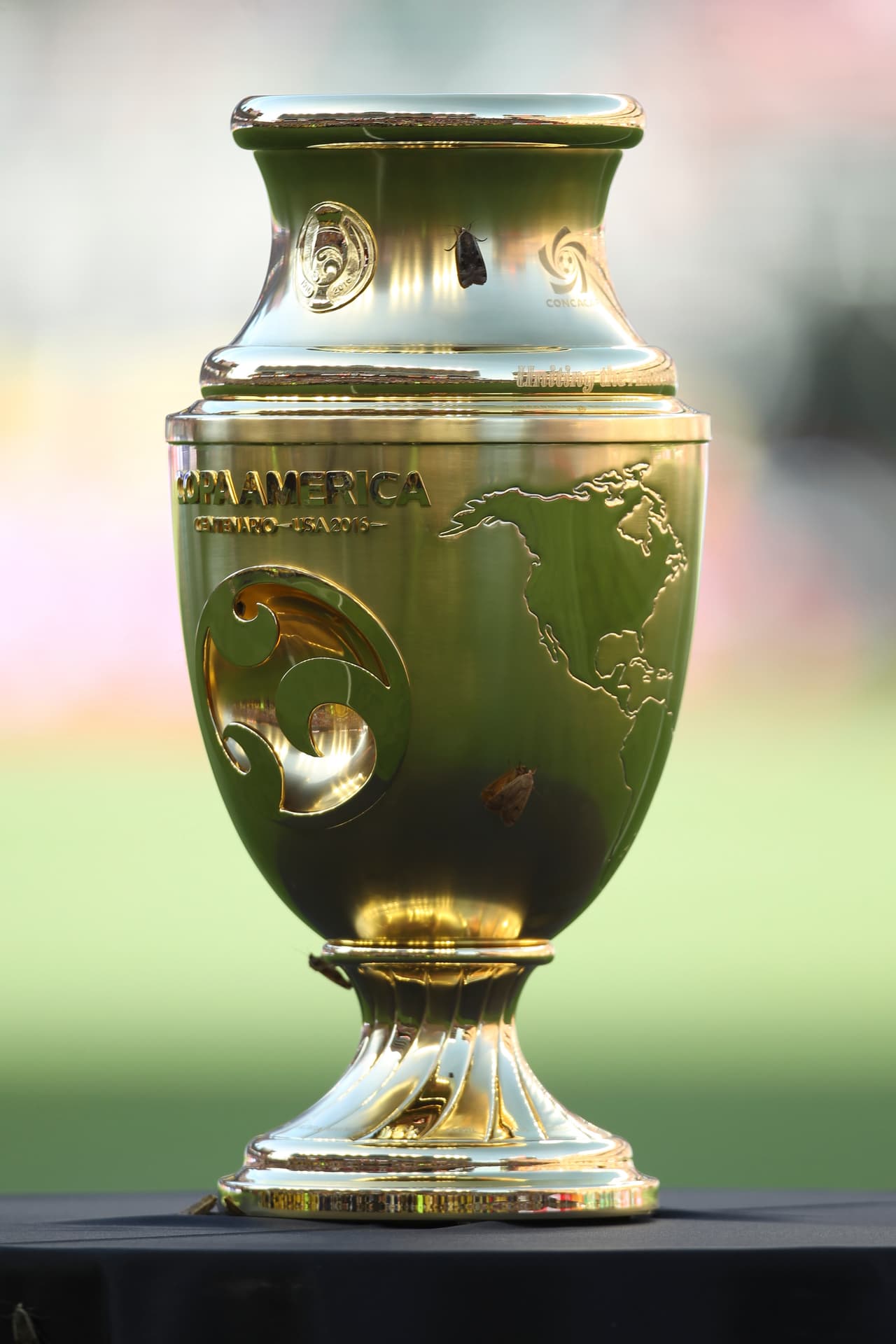 Hasta este año, la Copa América entregaba un trofeo al ganador fabricado en plata con base de madera, de 77 centímetros de altura y nueve kilos de peso que fue elaborado en la joyería Casa Escasany de Buenos Aires (Argentina) en 1916.