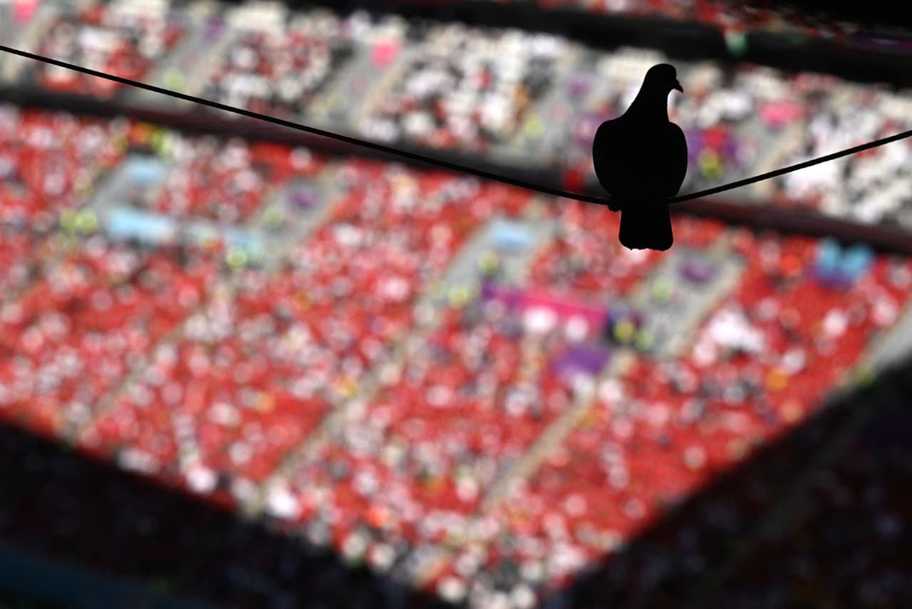 Marruecos y Croacia quedaron a deber los goles en su primer partido en el Mundial Qatar 2022 disputado en el Estadio Al Bayt.