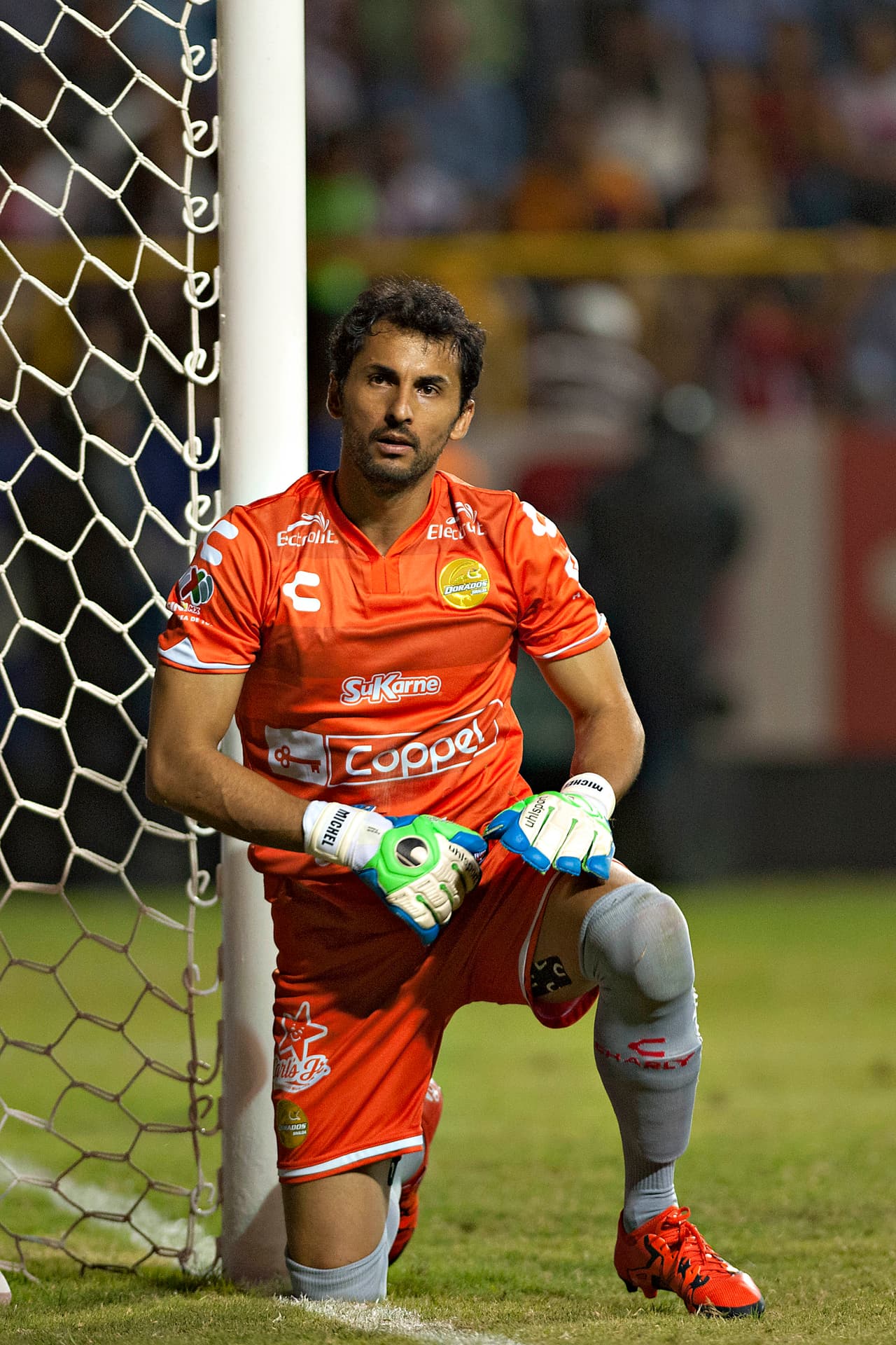 Luis Ernesto Michel, Dorados.- El Gran Pez sigue sin poder sumar puntos en el Clausura 2016, y en esta ocasión cayó fulminado 3-0 a manos del Querétaro, uno de sus rivales en el tema porcentual.