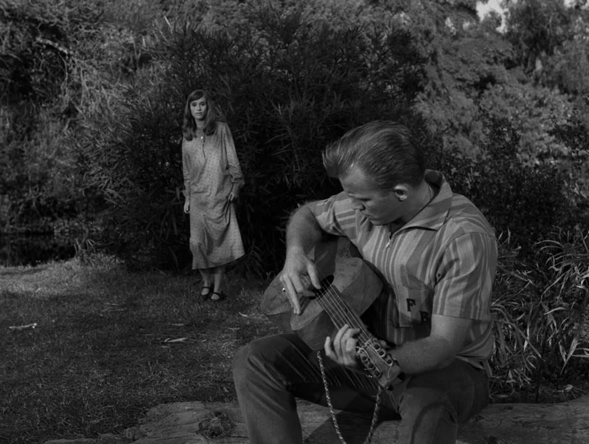 Donner comenzó su carrera en televisión, trabajando en programas notables en la década de 1960 y dirigió varios episodios, incluido el clásico "Nightmare at 20,000 Feet", protagonizado por William Shatner.