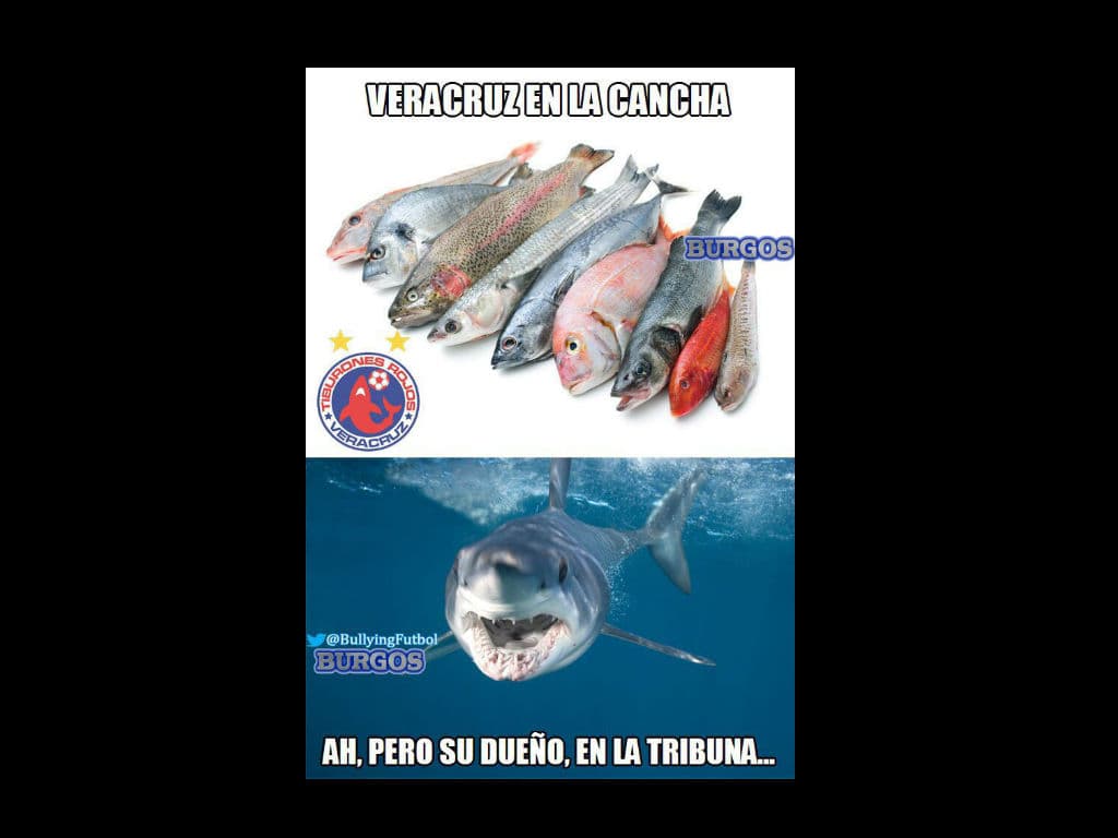 Los memes de la jornada 2 del Clausura 2016