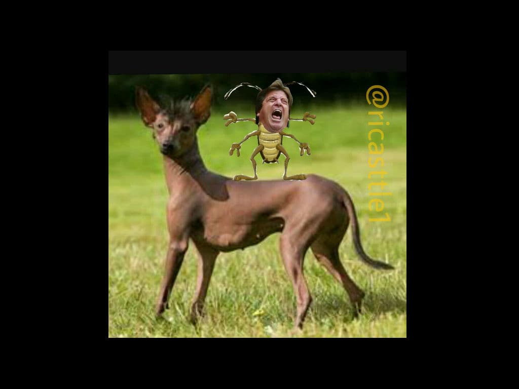 Los memes de la jornada 2 del Clausura 2016