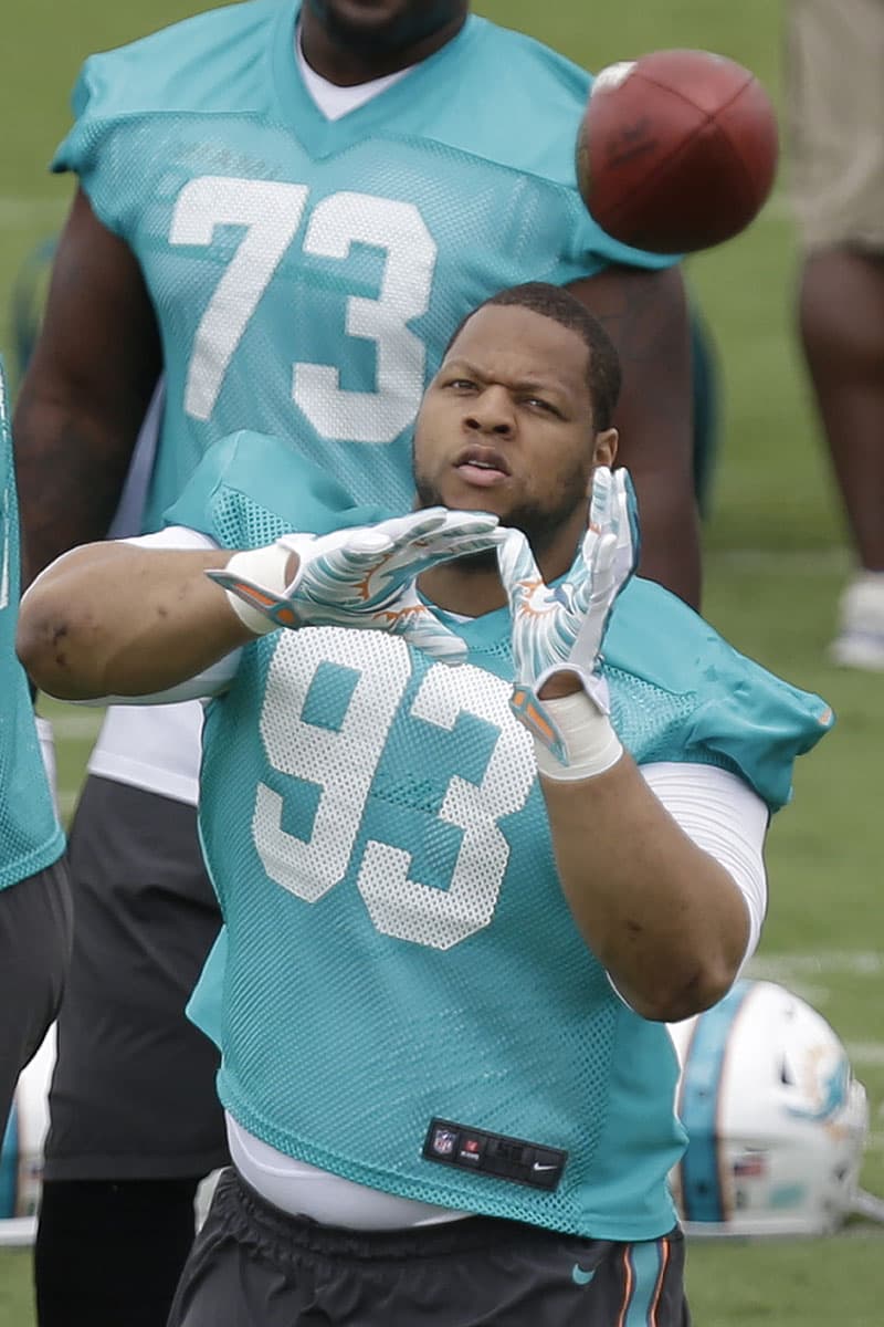 Proyecto de Titulares 2015: Miami Dolphins