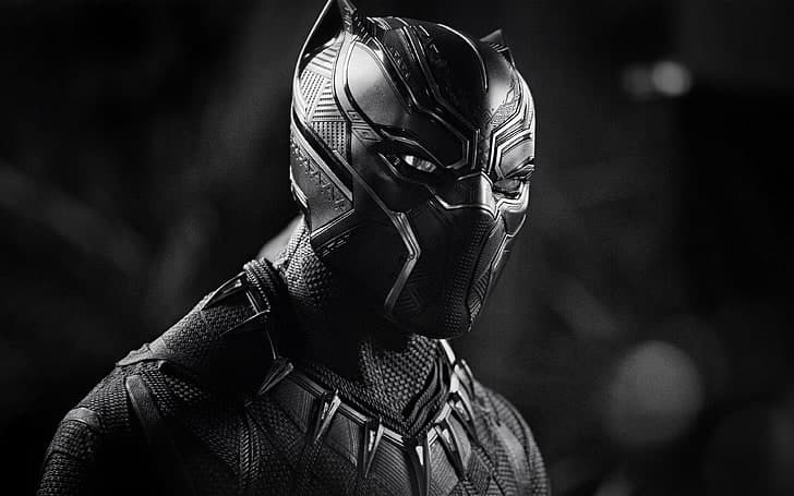 T’Challa regresa a la nación de Wakanda, aislada y muy avanzada tecnológicamente, para ser proclamado Rey.
<br>