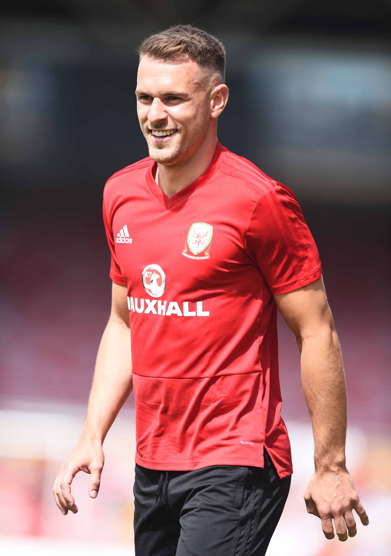 Giggs ha puesto sus esperanzas en el mediocampista del Arsenal que poco a poco ha conseguido ganar protagonismo en Europa.