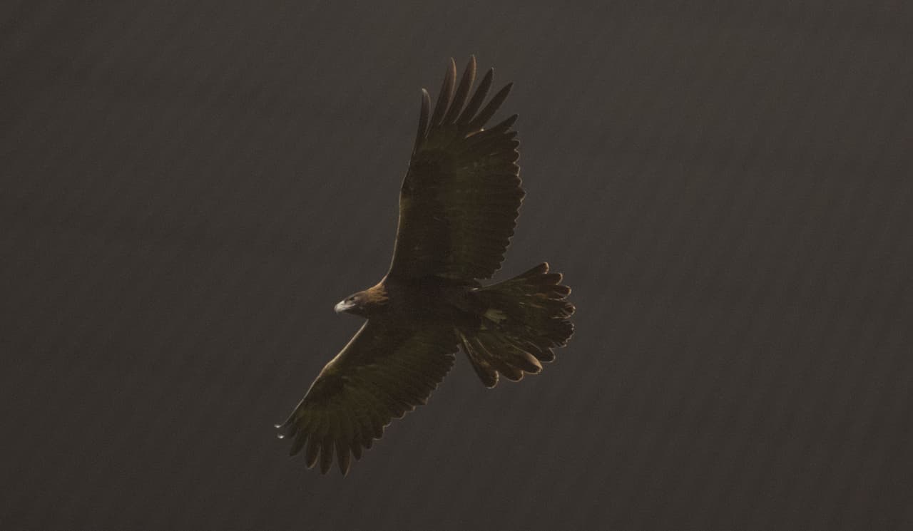 Gran ambiente se vivió en los estadios del fútbol mexicano en una nueva fecha de la Liga MX.