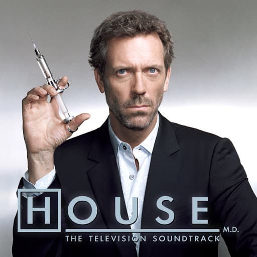 Dr House (2004) - Gregory House, el mejor médico del hospital, es un hombre antipático que está especializado en el diagnóstico de enfermedades.
<br>