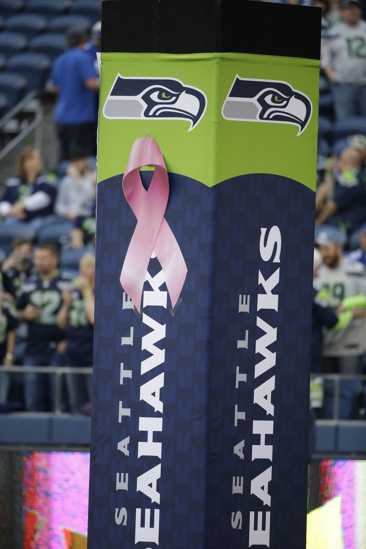 Empezó el mes de la concientización del cáncer de mama y la NFL se pintó de rosa en apoyo a tan noble causa. Checa las mejores imágenes.