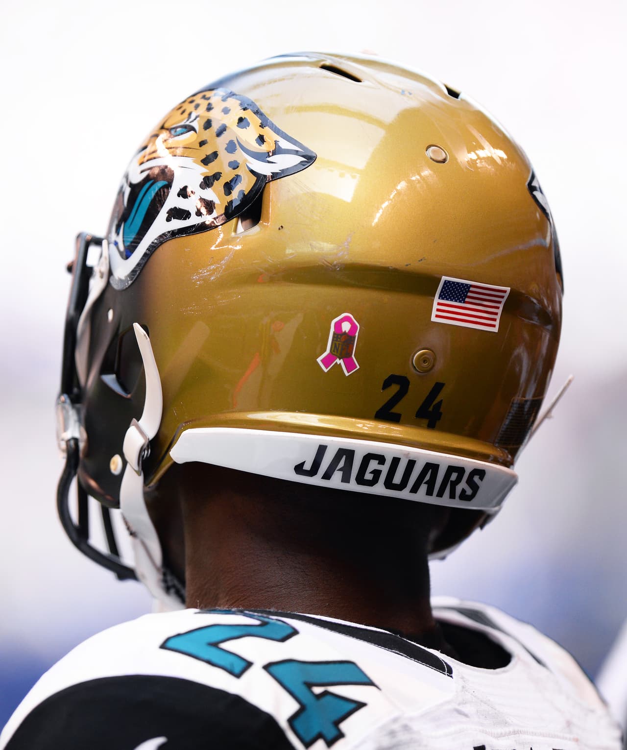 Empezó el mes de la concientización del cáncer de mama y la NFL se pintó de rosa en apoyo a tan noble causa. Checa las mejores imágenes.