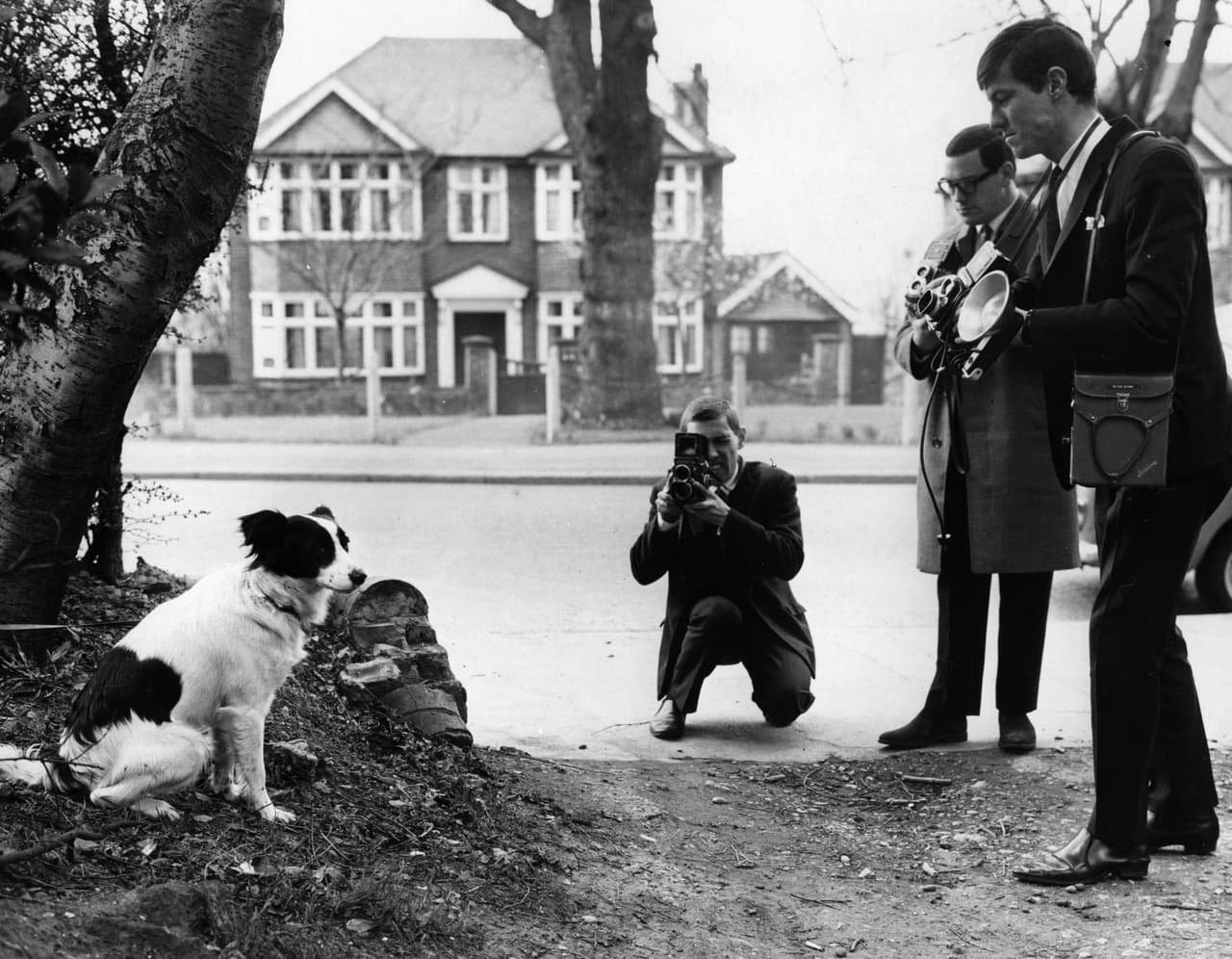 El perro Pickles pasó a la historia no como mascota en los Mundiales sino como el héroe de Inglaterra 1966, al encontrar en trofeo que había sido hurtado en ese país.