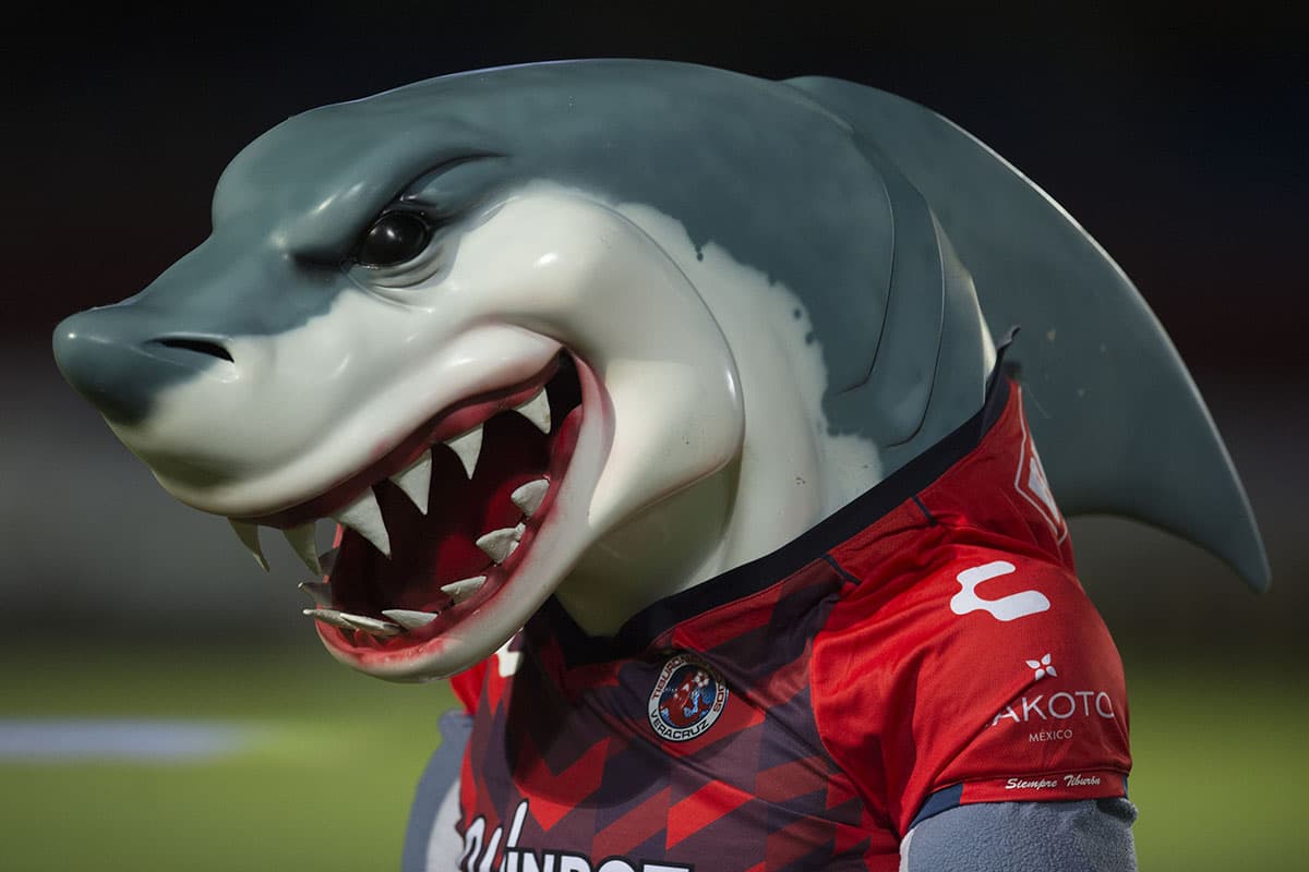 La presencia de la mascota del equipo Jarocho no ayudó a impedir la peor derrota como local del Veracruz desde el 4-1 contra Pumas de la UNAM el 28 de octubre de 2016.