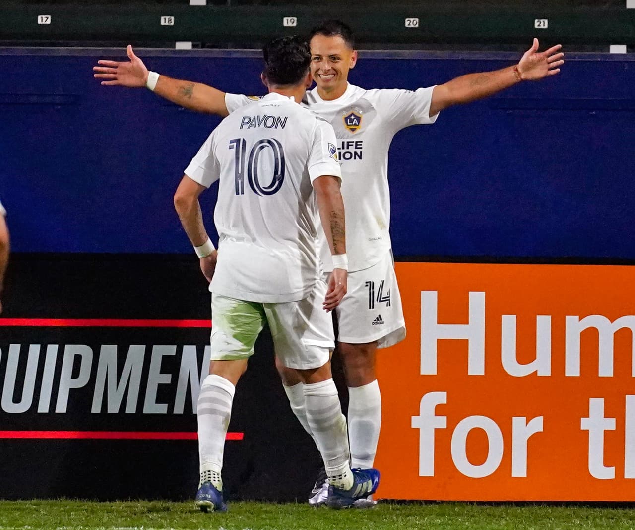 Te Kloese: "Estamos comprometidos para que Chicharito sea un éxito"