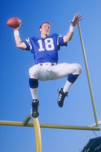 Dada otra temporada baja para dominar las complejidades del sistema ‘Big Blue’, Manning debe basarse en su sólido desempeño en el 2014 (índice de pasador de 92.1). Él podrá jugar a nivel de Top 5 con uno de los mejores elencos de apoyo en el fútbol.