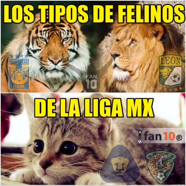 Tigres llegó a la final al vencer a León y los memes se rindieron a Gignac, pero también atacaron a los auriazules.