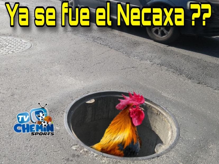 Carlos Salcedo y los Tigres se llevaron la noche tras su eliminación en Liguilla.