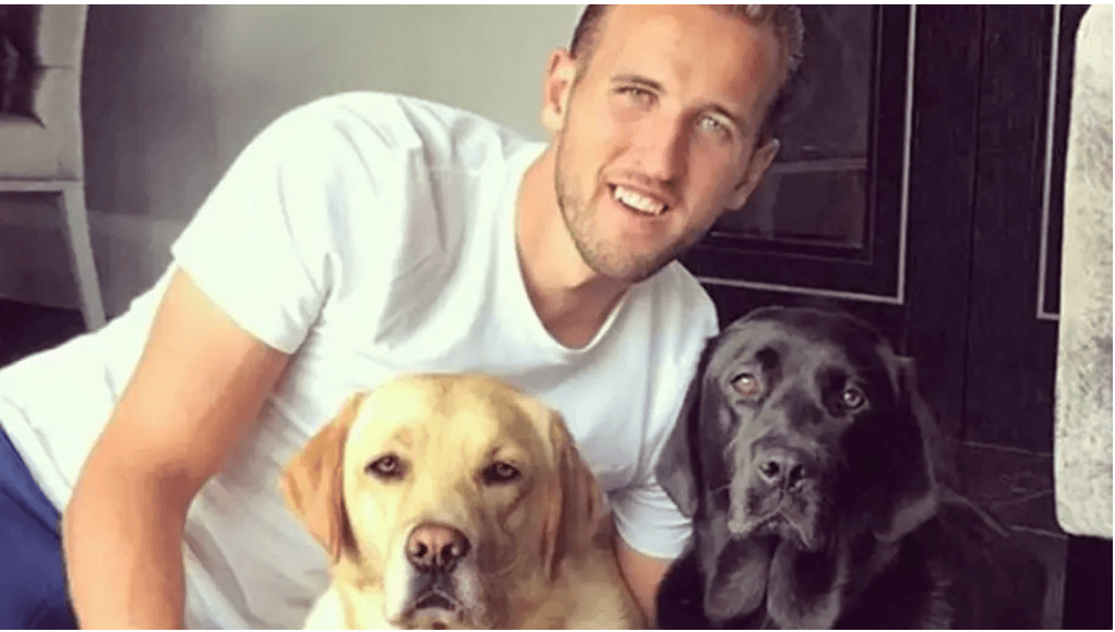 Harry Kane| Futbolista