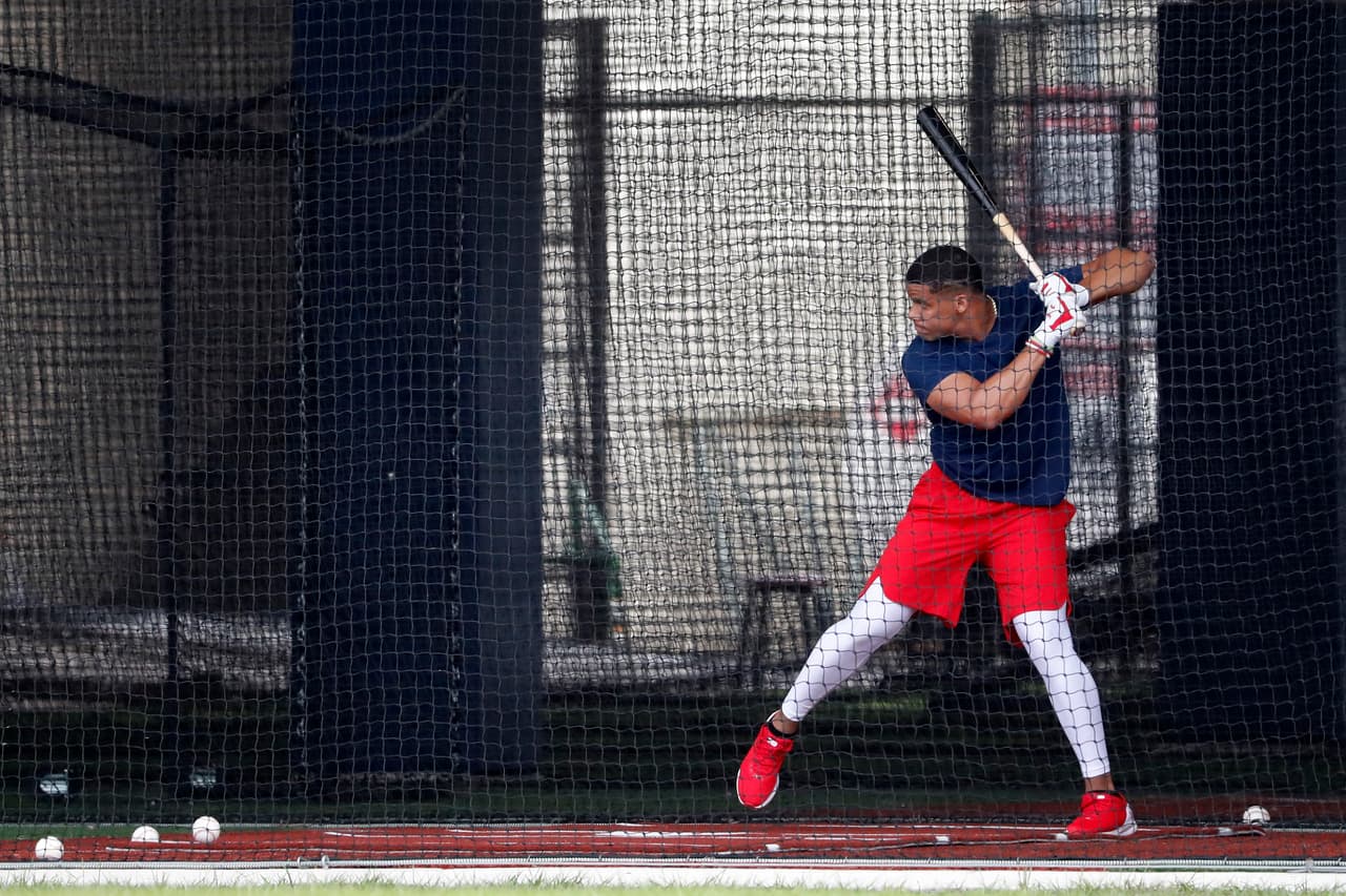 Se eleva búsqueda en Google al 5000% para jaulas de bateo en patios