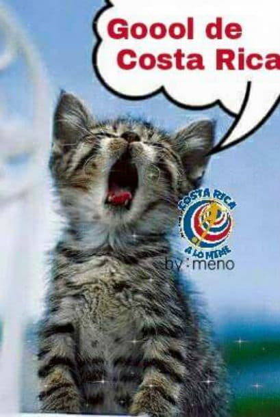 Te traemos los memes más divertidos del Costa Rica vs Jamaica